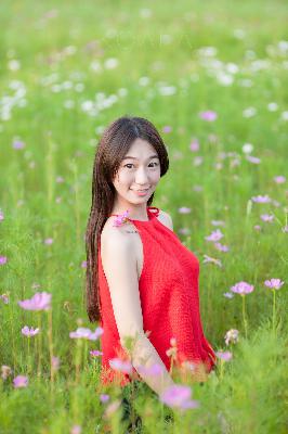 荒岛女儿国满天星版