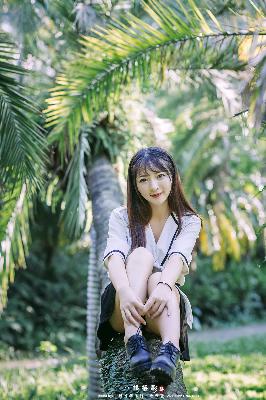 度华年电视剧在线观看免费高清版