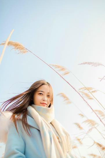 何以笙箫默电视剧全集免费播放