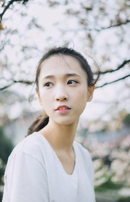 国产免费观看高清电视剧大全