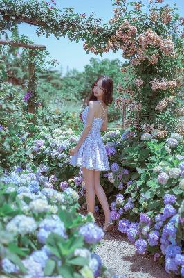 老牛影视在线观看免费观看电视剧