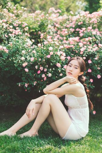 似锦电视剧免费观看完整版高清