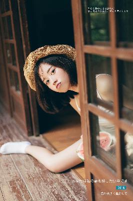 中文免费高清在线观看电视剧全集爱