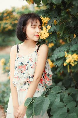 三分野电视剧免费观看完整版高清