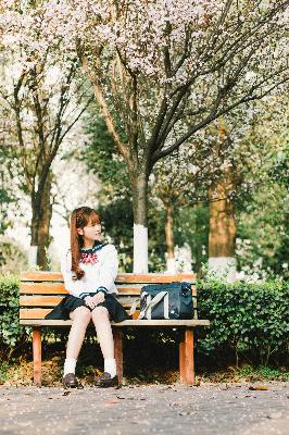 藏海花电视剧免费观看完整版