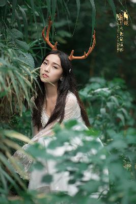 韩剧电视剧大全免费观看