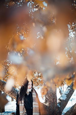 樱桃琥珀 电视剧