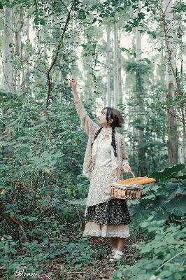 成全免费高清观看在线电视剧大全