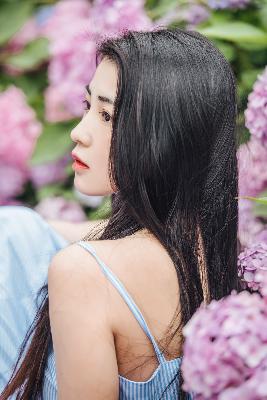 红楼梦87版全集完整版免费