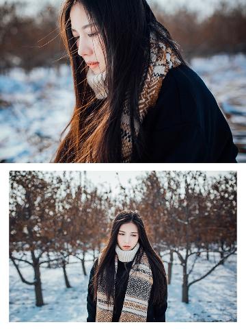 雪豹电视剧全集免费观看完整版