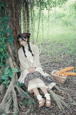 安家电视剧全集免费观看