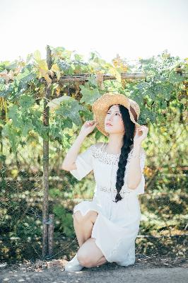 生逢灿烂的日子电视剧免费观看