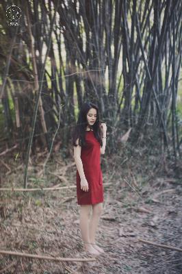 茶杯狐 CUPFOX 茶杯狐官方