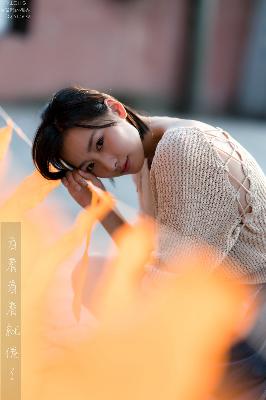 六姊妹电视剧在线观看全集