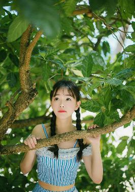 免费的网站域名查询