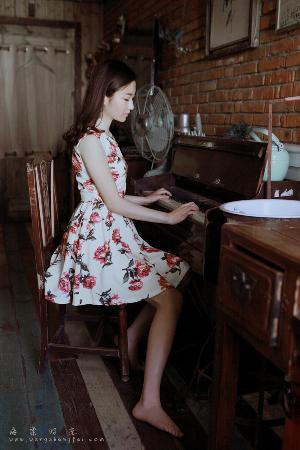 纵有疾风起电视剧免费完整版观看