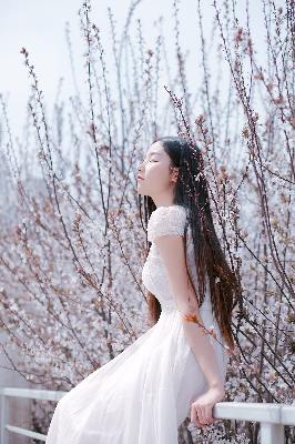 最近热播电视剧排行榜前十名