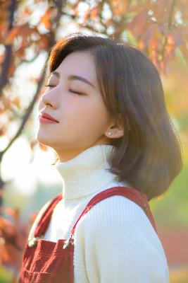 国产免费观看高清电视剧大全