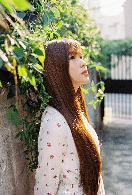 绝世唐门动漫在线观看免费完整版