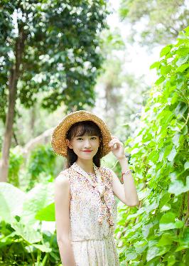 中日双语字幕日剧有哪些