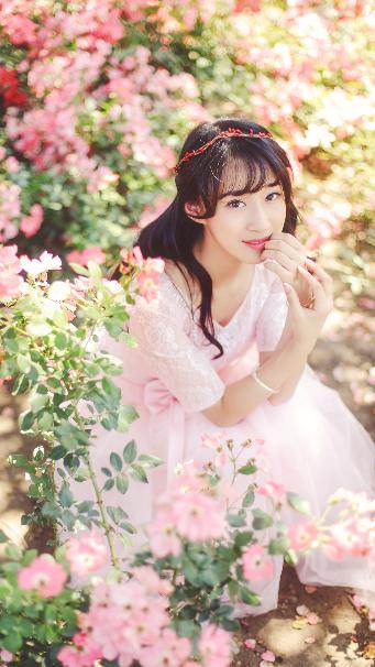 新妹魔王的契约者