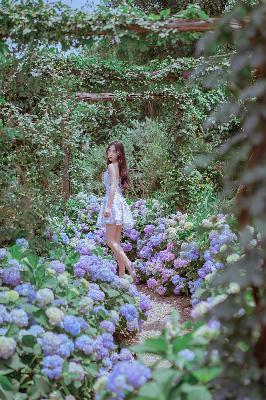 我唾弃你的坟墓