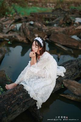 白色橄榄树电视剧完整版免费观看