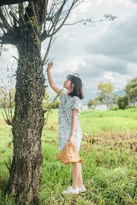 乔梁叶心仪超前更新