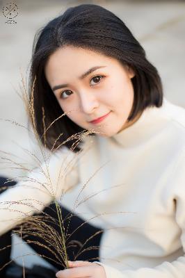 国产观看免费高清电视剧推荐