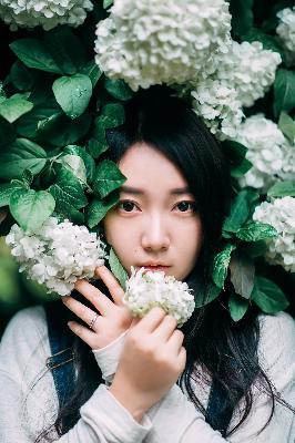 灭火宝贝2:决战丛林