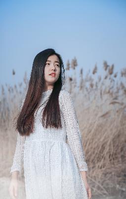 不忠美剧电影完整版